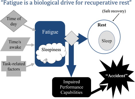 1-s2.0-S0001457509003121-gr1